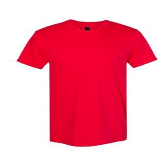Gildan Unisex Adult G5000 T-Shirt - 5.3 Oz, 100% Cotton, Classic Fit (Red)