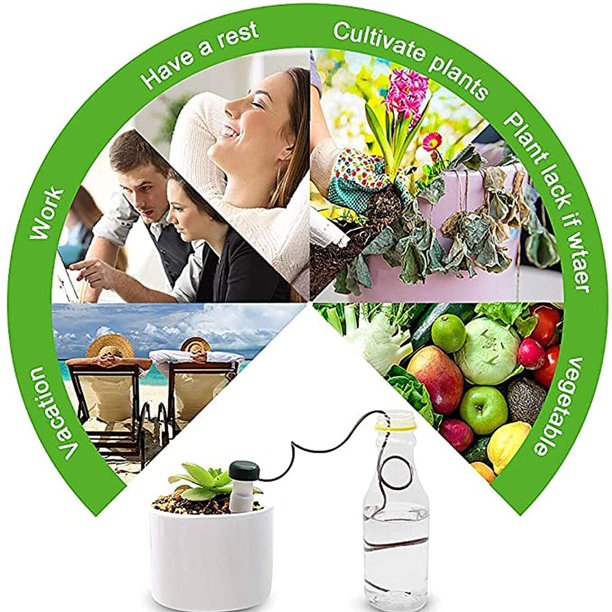 Planta automática Riego automático de plantas Juego de 8 plantas de cerámica para interiores y exteriores, 80 cm