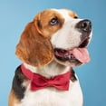 thumbnail image 6 of Goowood Dog Bow Tie Collar Adjustable Cotton Canvas Pet Bowtie for Wedding Party Special Occasions Formal Wear Cat and Dog Accessories, 6 of 8