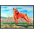 thumbnail image 1 of Carolines Treasures 7516MAT Tapis Intérieur Extérieur 18 x 27 Po. Min Pin, 1 of 4