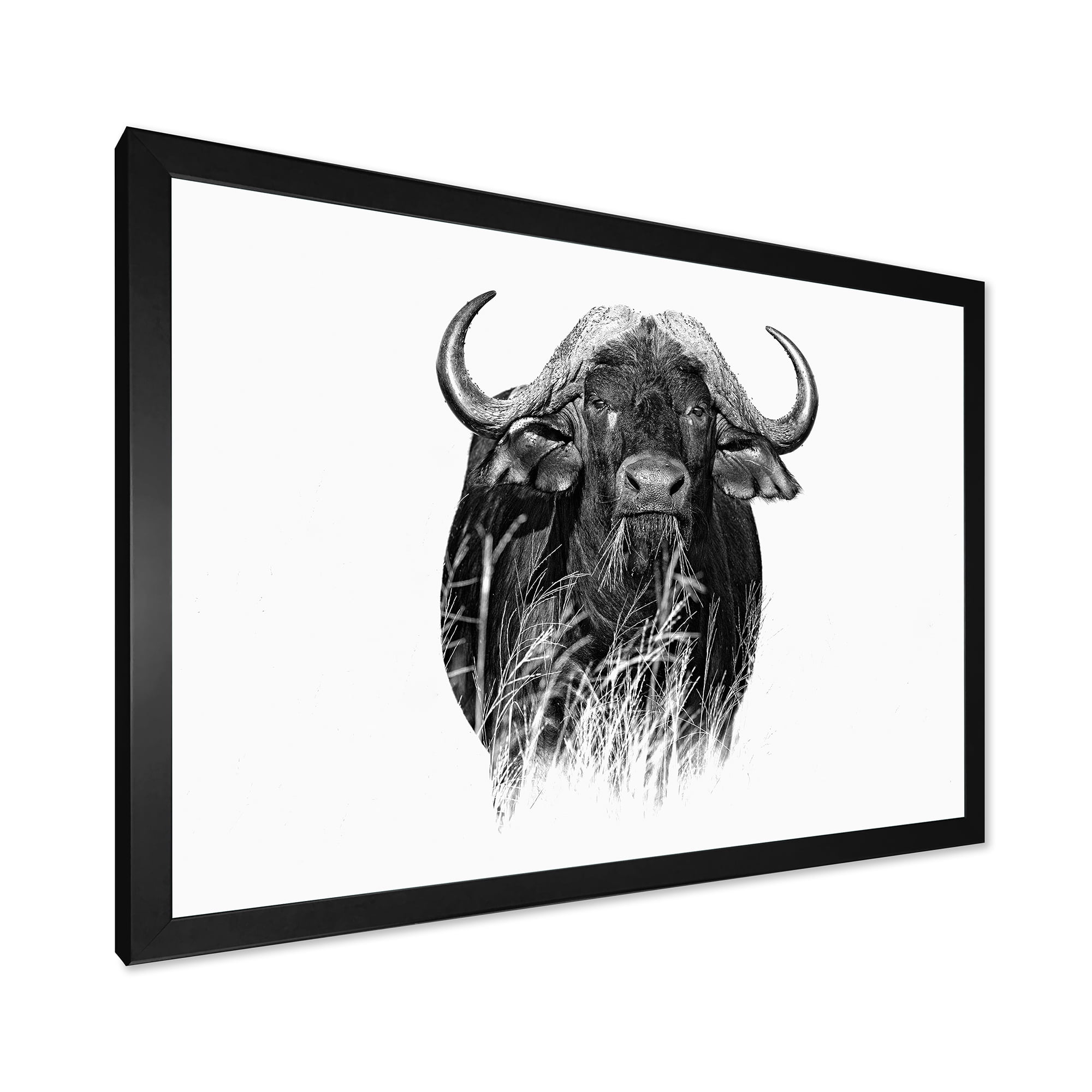 Designart 'Black and White Portrait Of Buffalo IV' Farmhouse Framed Art Print