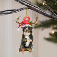 thumbnail image 4 of Naiovety Colgante de perro de Navidad Árbol de Navidad Letrero de Decoración colgante Regalo de decoración de Navidad para vecinos Amigos Kits de decoración para fiestas No.2 Naiovety HA040830-02, 4 of 6