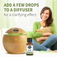 thumbnail image 3 of Aceite esencial Garden of Life Rosemary 15 ml 100% orgánico, 3 of 8