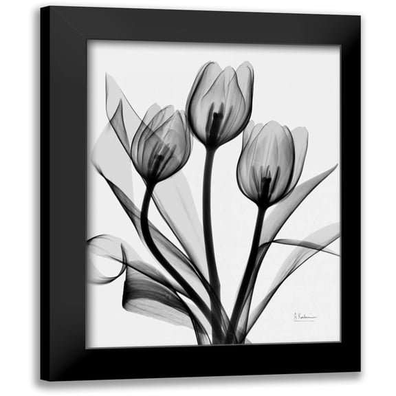Koetsier, Albert 12x14 Black Modern Framed Museum Art Print Titled - Tulips