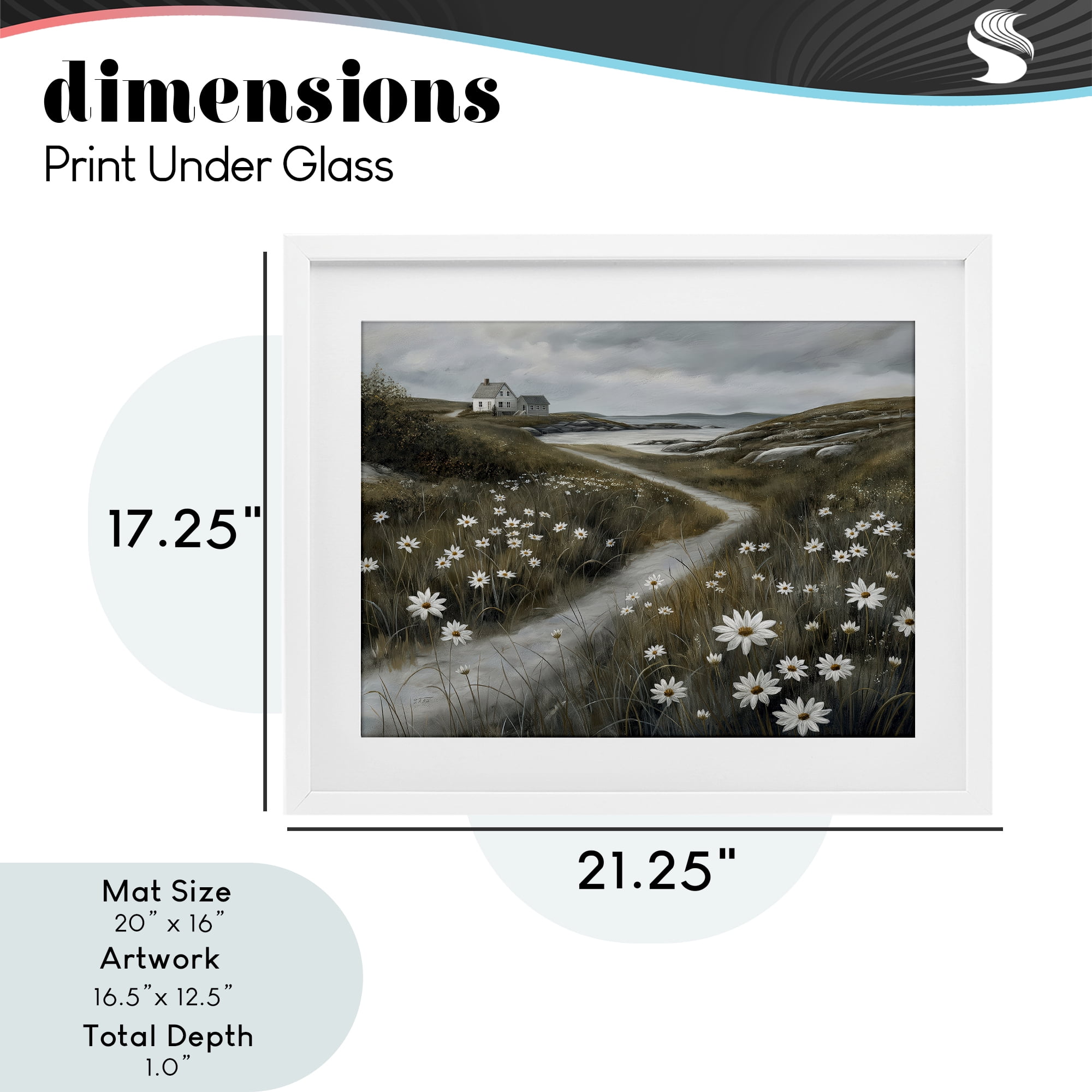Stupell Industries Daisies Along Coastal Path White Framed Print Under Glass, design by Imagine It Images