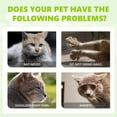 thumbnail image 4 of Spray For Cats Natural Calming Spray With Mint Scent Anxiety For And Adult Cats And 100ml, 4 of 7