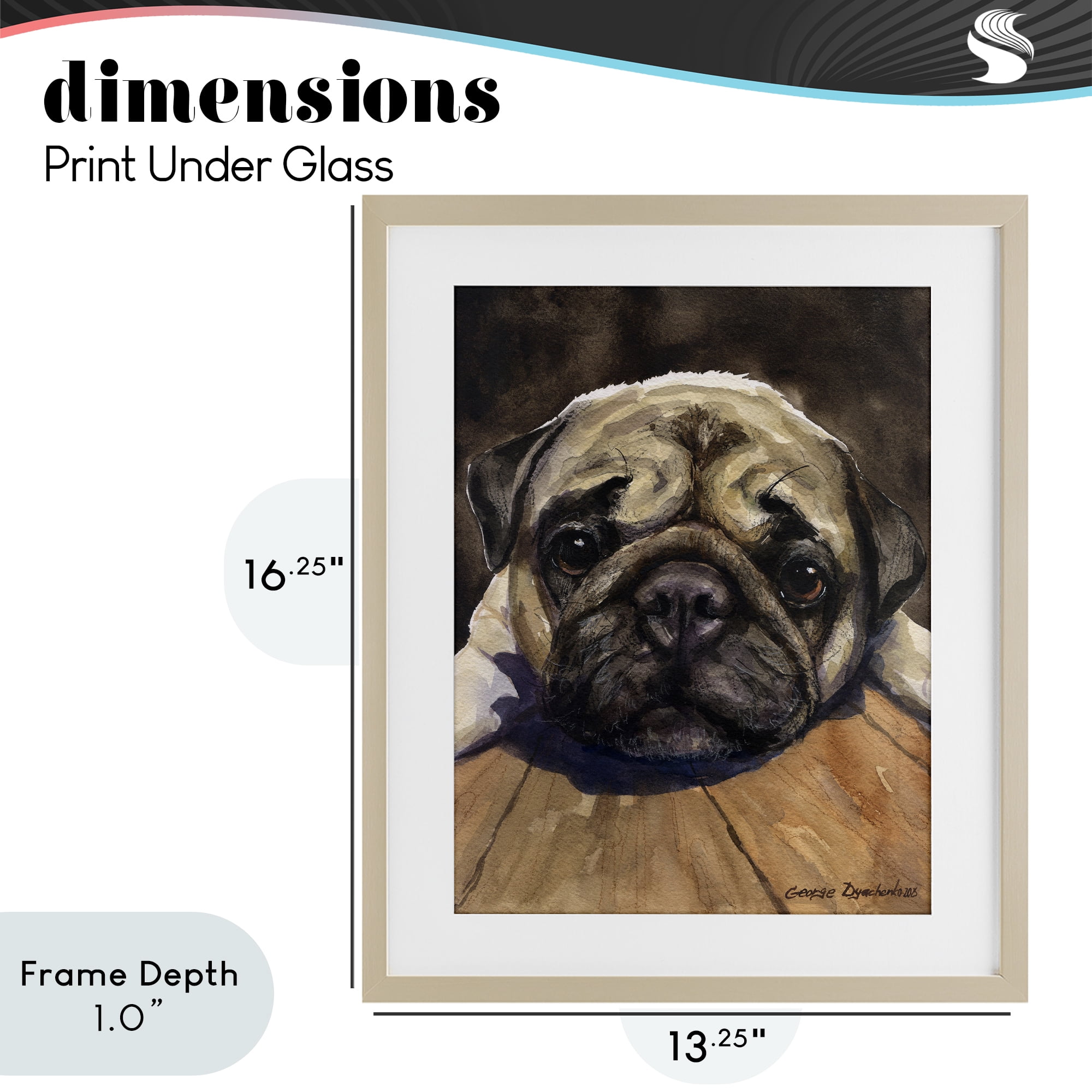 Stupell Industries Pug Soulful Portrait Birch Framed Print Under Glass, design by George Dyachenko