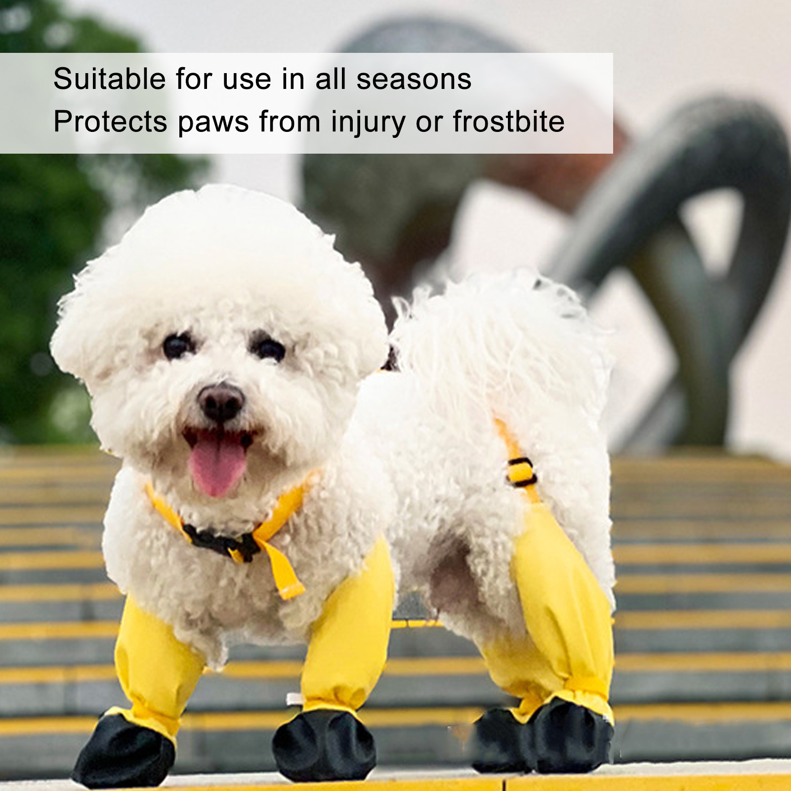 Bottes De Protection Pour Chien - Pantalon Anti-poussière Avec Bretelles - Pour Neige, Pluie, Randonnée - Taille S/M/L