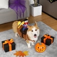 thumbnail image 4 of Disfraz de perro T2Y T2Y Cowboy Rider, pequeño, ajustable, 4 of 6
