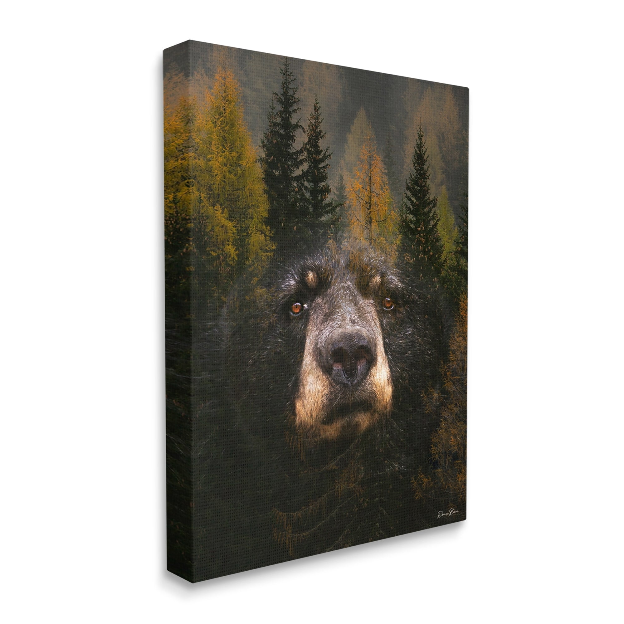 Stupell Industries Abstract Black Bear Wilderness Pine Forest Modern Photography, 16 x 20,Design by Denise Brown