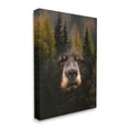 thumbnail image 3 of Stupell Industries Abstract Black Bear Wilderness Pine Forest Modern Photography, 16 x 20,Design by Denise Brown, 3 of 5