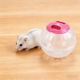 thumbnail image 2 of SIfdSeng Hamster Exercise – Transparent Small Running with Ventilation Activity Play for Hamsters Gerbils Mice and Hamsters Random Color, 2 of 6