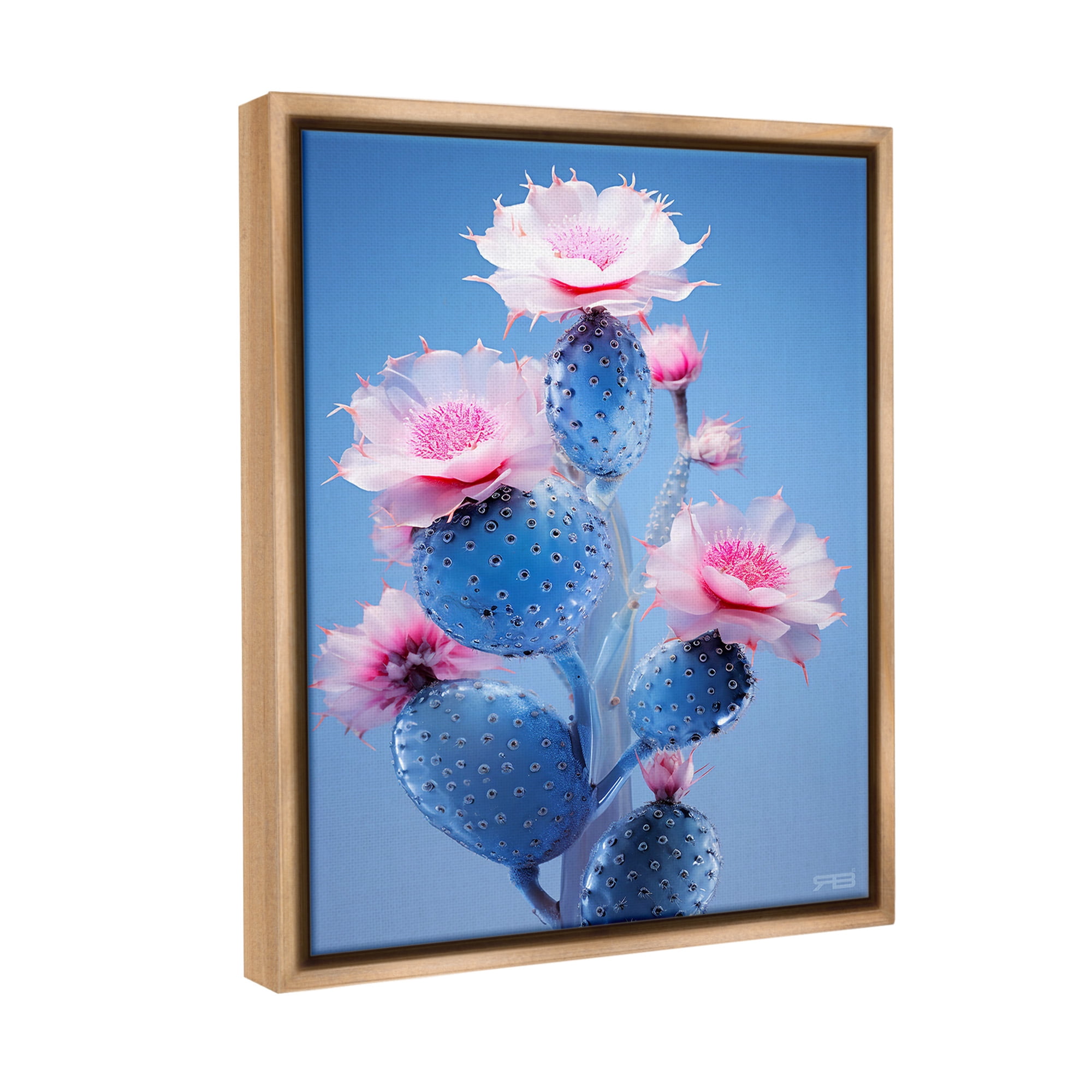 Stupell Industries Prickly Cactus Flowers Botanical & Floral Painting Brown Floater Framed Canvas Art Print Wall Art, 17 x 21