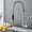 Silver, variant on DTIG Kitchen Faucet with Pull-Out Sprayer, Brushed Nickel, Single-Hole Installation, 3-Function, Silver