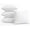 16x16 Inch (Pack of 4), variant on 20 x 20 Throw Pillow Inserts, Firm and Fluffy Decorative Square Pillows for Couch Bed Sofa with Soft Cotton Cover White Cushion with Down Alternative Pack of 2