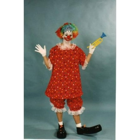 Hooped Clown Girl Costume