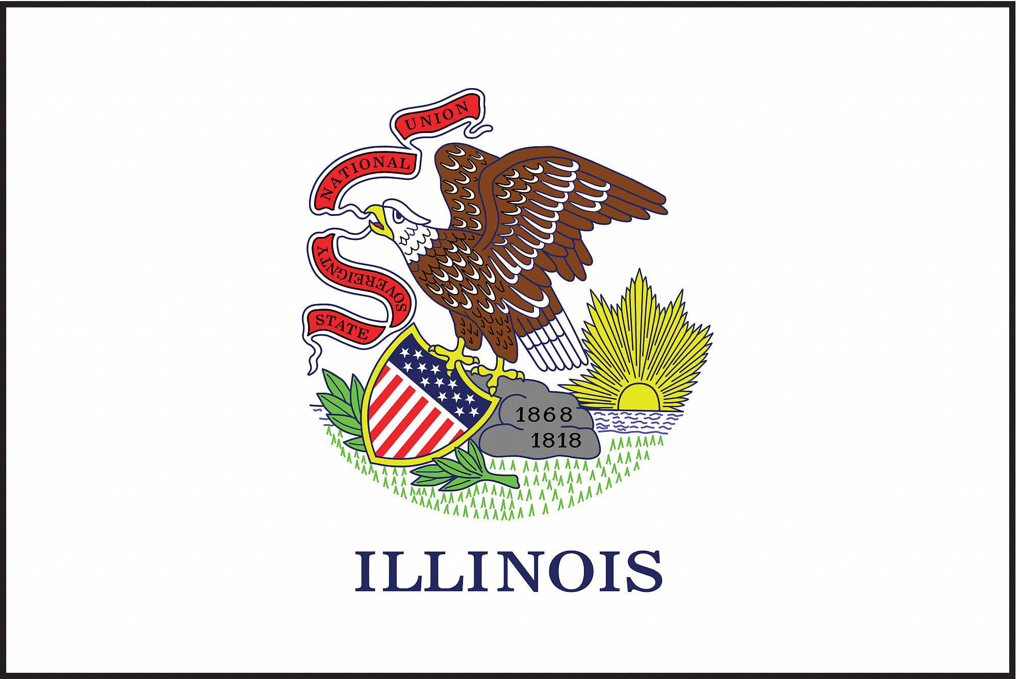 Illinois US State Small Hand Waving Flag 