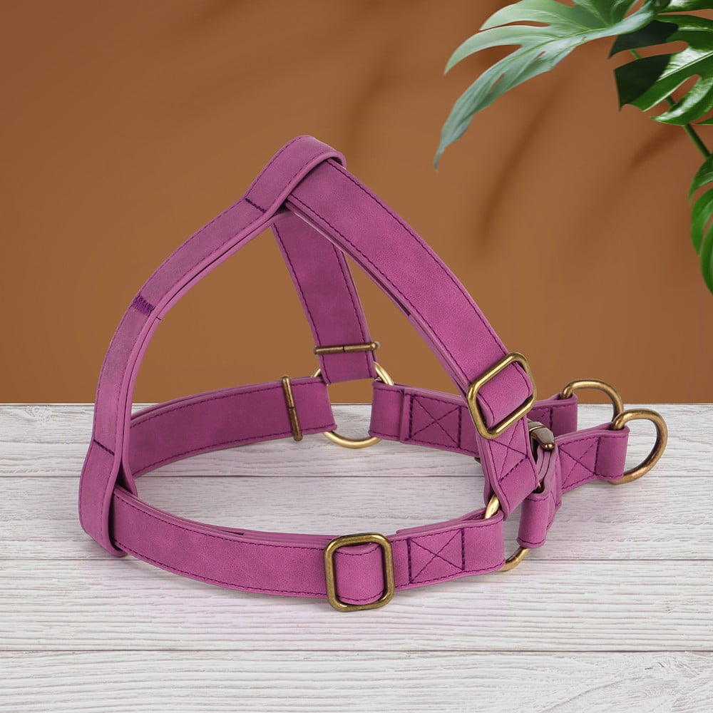 Pet Artist Soft PU Leather Step-in Dog Harness - No Pull Adjustable Vest w/ Brass Buckle, for Small & Medium Breeds