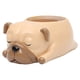 thumbnail image 1 of Maceta de resina con forma de perro, maceta decorativa para suculentas, miniadorno de escritorio (Pug), 1 of 7