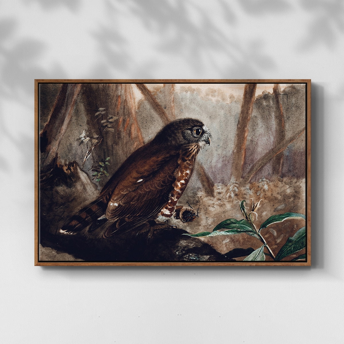 Vintage Animal Print-XVII By Wexford Home Framed in Walnut Wood Gallery Wrapped Canvas 25 in. x 37 in.
