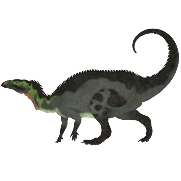 Camptosaurus a herbivorous dinosaur from the Late Jurassic Period Canvas Art - Corey FordStocktrek Images (17 x 13)