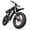 40Ah, variant on Efunkeep K6-L-4.0 20" Adult Electric Mountain Bike , 1500W Peak Motor , 48V 15.6Ah 748.8Wh Battery , UL2849