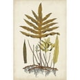 thumbnail image 3 of Vision Studio 13x18 Black Modern Framed Museum Art Print Titled - Fern Botanical I, 3 of 5