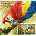 thumbnail image 4 of HFDF 3 Panels Parrot Wall Art: Tropical Rain Forest Animal Picture Canvas Print Painting For Living Room Wall Decor Beautiful Bird Poster Farmhouse Modern Home Decorations 12x16inch Framed, 4 of 7
