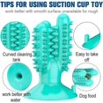 thumbnail image 2 of Cepillo de dientes para perros, juguete interactivo para masticar, juguete para masticar para perros con función de cuidado de los dientes, caucho Natural para perros pequeños, juguete para masticar para perros Rojo Verde Cocina, Decoración y Otros, 2 of 5