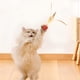 thumbnail image 3 of Juguete para gatos, pelota interactiva que rebota para gatos de interior y exterior, juguetes activos para gatos, pelotas para gatos, juguetes interactivos para gatos, juguetes portátiles, 3 of 8