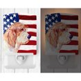 thumbnail image 2 of Caroline's Treasures LH9036CNL Flag with Petit Basset Griffon Vendeen Ceramic Night Light, 6x4x3",, 2 of 2