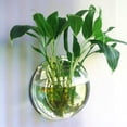thumbnail image 5 of Mounted Fish Tank Acrylic Wall Hanging Fish Bowl 8 Inches Creative Plant Pot Flower Vase, 5 of 5