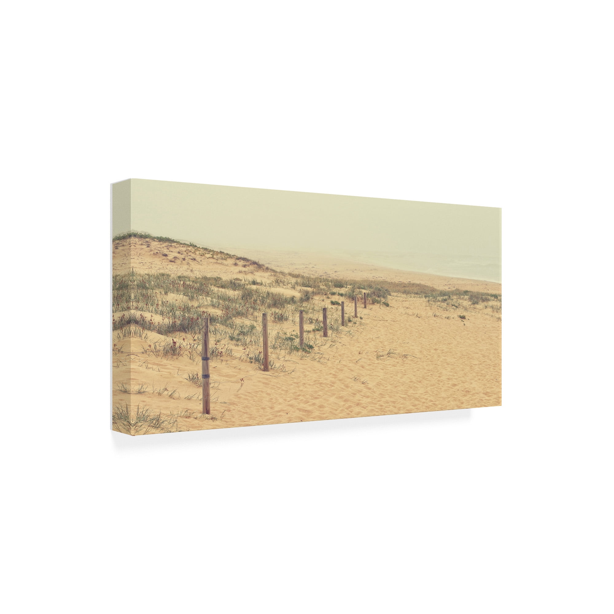 Trademark Fine Art 'BC Foggy Beach' Canvas Art by Beata Czyzowska Young
