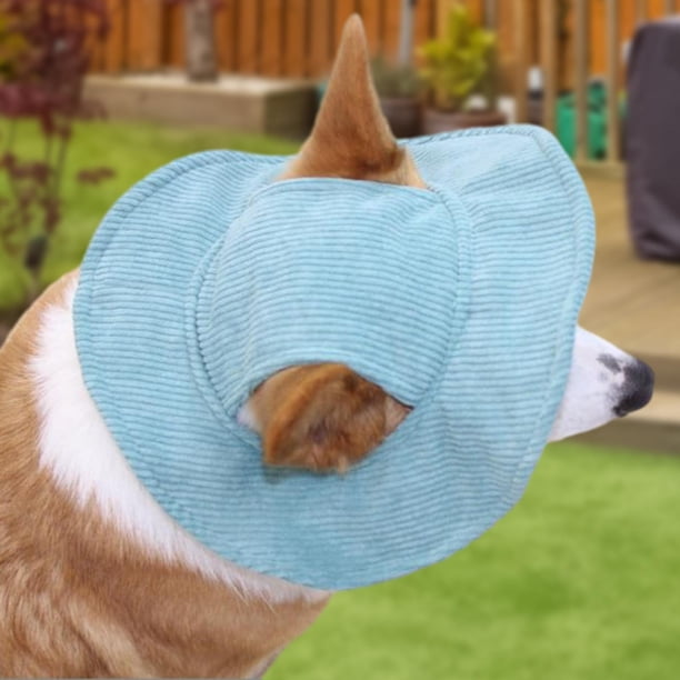 Sombrero para el sol para cachorros, lindo sombrero de cubo para mascotas con orificios para las orejas, protección solar, sombrero para perros, gorr