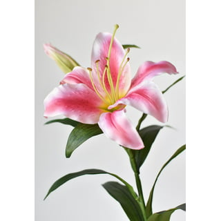 5 inch Cheer Bow Clip - White - Dream Lily Designs