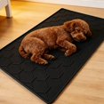 thumbnail image 3 of AOOOWER Pet Meal Tray With Stable Bottom And Tall fringes For Clean Eating Area, 3 of 9