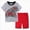 Grey, variant on ZIXKCGDSE Boys Summer Outfits Kids Cotton Short Sleeve Shirt and Shorts Cute Clothing Set Size 4-5 Years