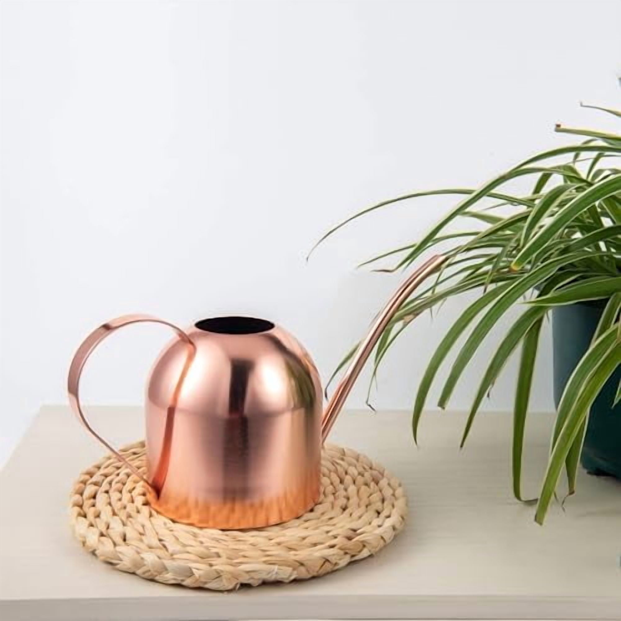 Indoor Watering Can for House Plants 33oz/1L Stainless Steel Watering Can with Long Spout (Rose Gold)