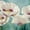 Tasmanian Poppies II, variant on Elephant Stock Abstract Balance Vi Blue Wall Art - Horizontal Multi Panel Canvas - Living Room Wall Decor - Abstract Multi Panel - Gray And Teal Decor By Lisa Audit - 23" x 14"