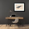 thumbnail image 4 of Jacques Le Moyne de Morgues 24x18 Black Modern Framed Museum Art Print Titled - A Kingfisher on a Branch (16th Century), 4 of 5