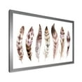 thumbnail image 2 of Designart 'Colourful Boho Art Feather Set X' Bohemian & Eclectic Framed Art Print, 2 of 4