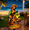 TROPICAL STATE GOOD VIBES ONLY A20, variant on Jimmy Buffett Tropical Parrot Solar Garden Light, Solar LED Color Changing Parrot Statue Weatherproof for Covered Patio Tiki Bar Decor