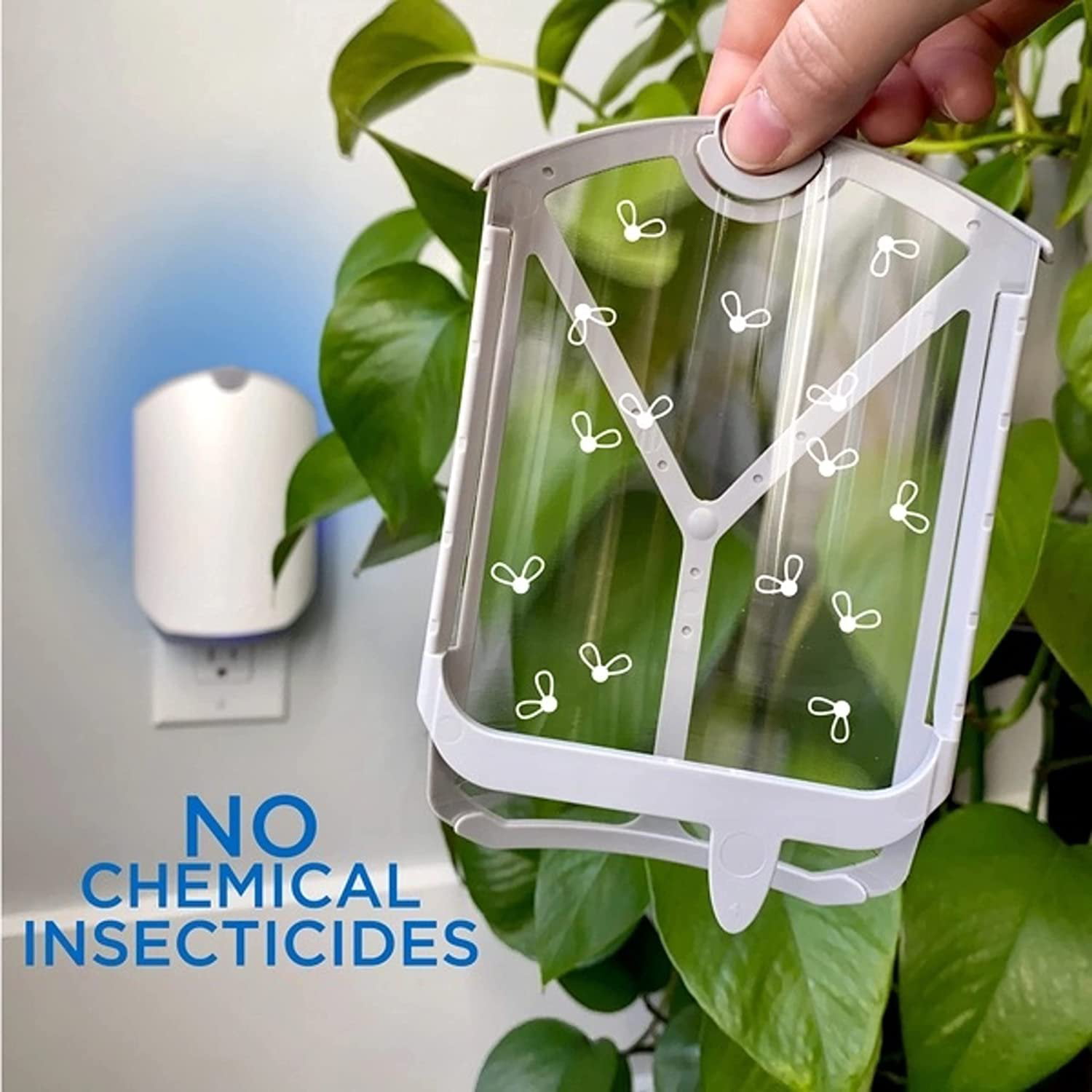 ZEVO Indoor Flying Insect Trap for Fruit Flies, Gnats and House Flies 1  Plug-In Base Plus 2 Refill Cartridges Bundle 078557165001 - The Home Depot