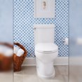 thumbnail image 2 of Mirabelle MIRVLTH Double Post Toilet Paper Holder, 2 of 3
