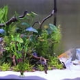 thumbnail image 3 of Nomeni Artificial Flowers for Outdoors Clearance, Artificial Seaweed Water Plants for Aquarium, Plastic Fish Tank Plant Decoration Room Decor, 3 of 3