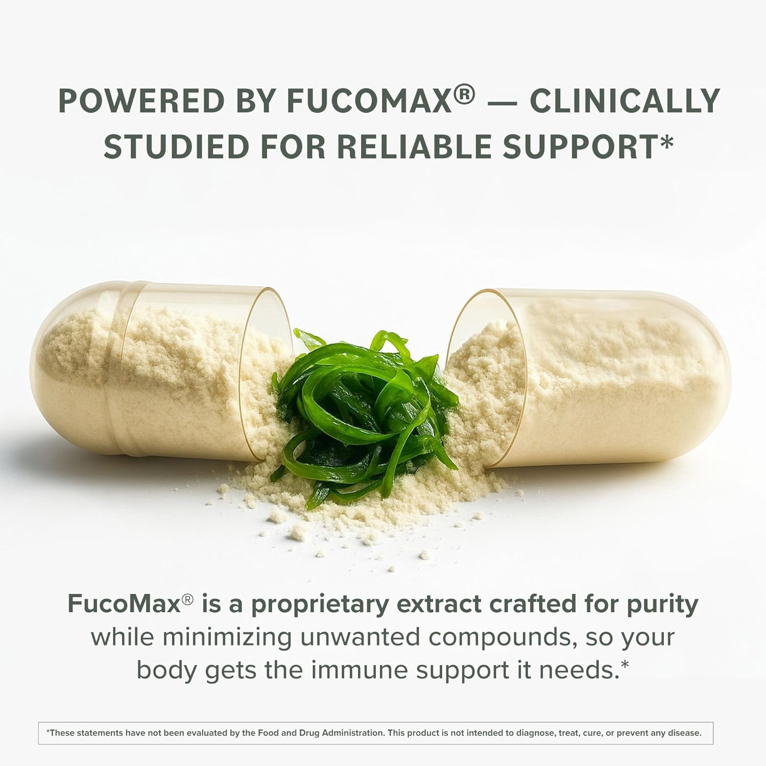 Prominent Nutrition Fucoidan Gut Health & Immune Support Supplement – 250mg, 60 count – Brown Seaweed Extract - Immune System & Digestion Supplement