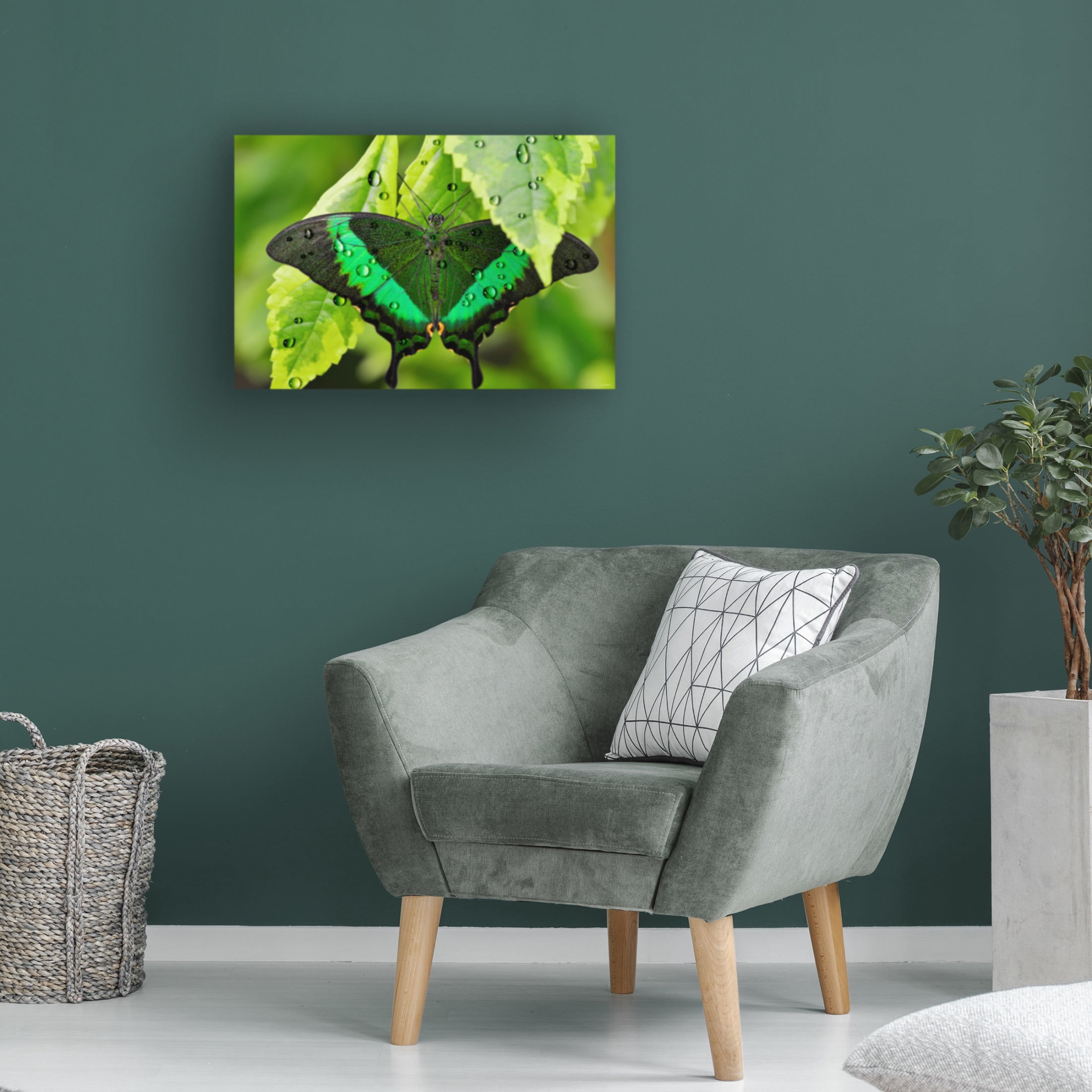Canvas Wall Art - Gordon Semmens 'Textures 11' Wall Art for Living Room, Bedroom, or Office Décor by Trademark Fine Art - 24 x 16 Inches