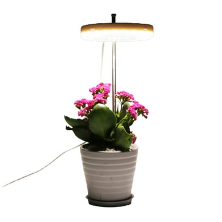 

Grow Light Full Spectrum LED Plant Light For Indoor Plants Height Adjustable Growing Lamp Plant Lamp With Timer Flower Potted Seed Grow Light Full Spectrum Natural White Single Ring