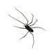 thumbnail image 5 of Pegatina de nevera de araña Fuerte decoración de calcomanía de atracción para refrigerador espeluznante pegatina de araña, 5 of 9