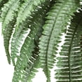 thumbnail image 2 of Boston Fern with Wood Vase Silk Plant, 2 of 5